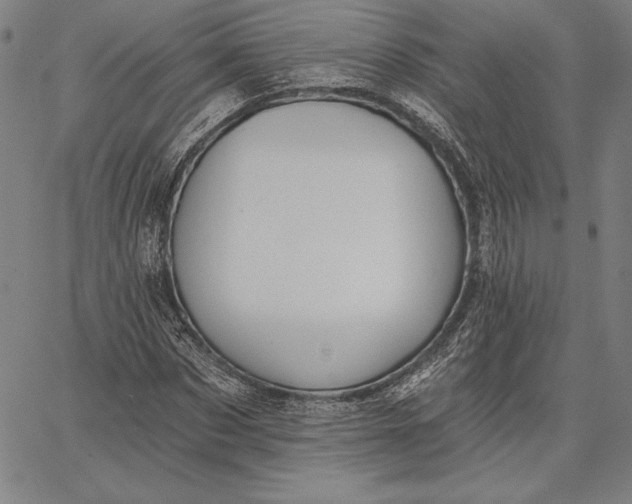 X0000067330873200604131658