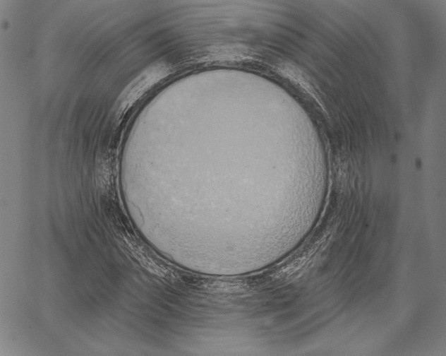 X0000067330874200604131658