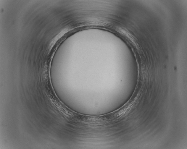 X0000067330875200604131658