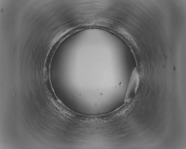 X0000067330876200604131658