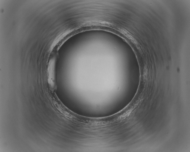 X0000067330877200604131658