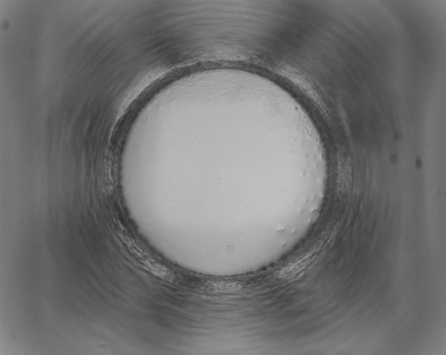 X0000067330878200604131658