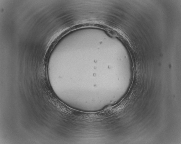 X0000067330879200604131658