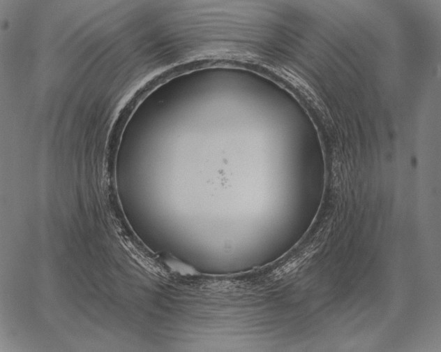 X0000067330880200604131658