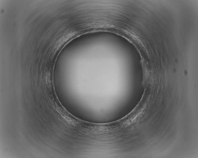 X0000067330881200604131658