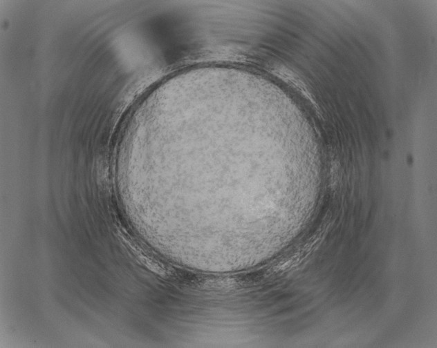 X0000067330882200604131658