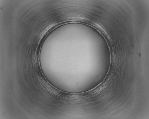 X0000067330883200604131658