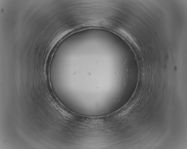 X0000067330884200604131658