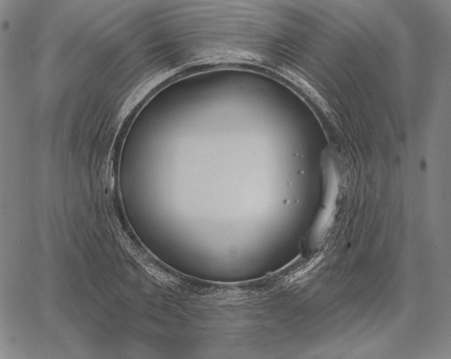 X0000067330885200604131658