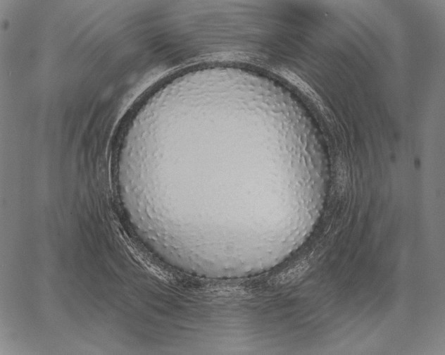 X0000067330886200604131658