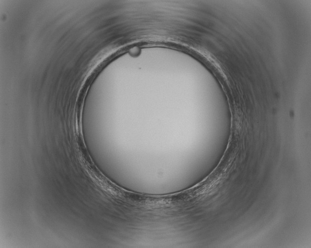 X0000067330887200604131658