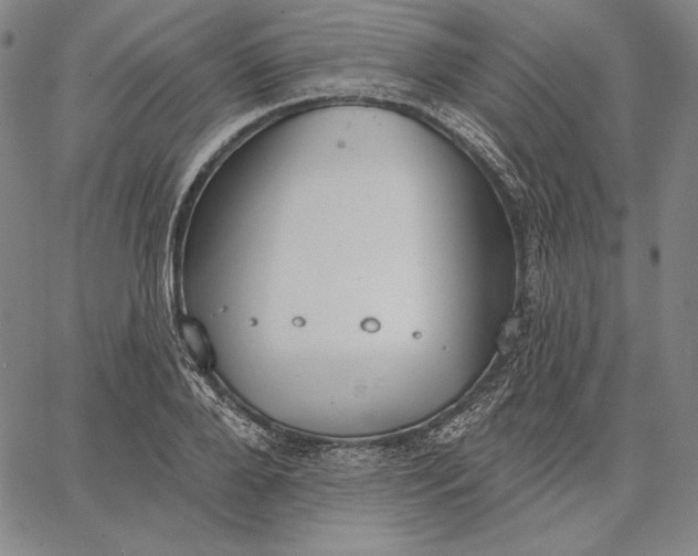 X0000067330888200604131658