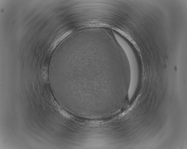 X0000067330889200604131658