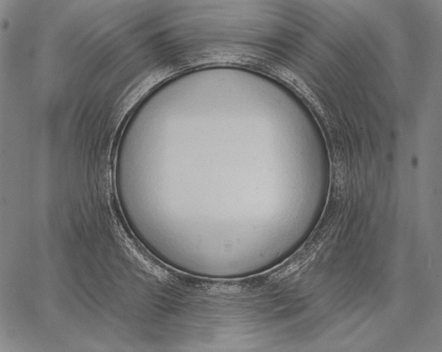 X0000067330890200604131658