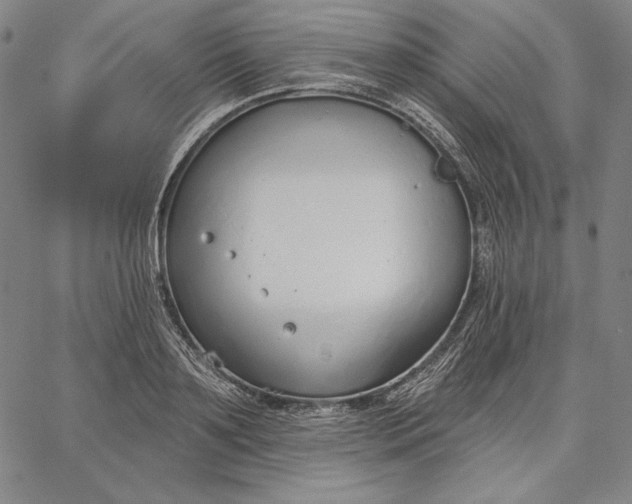 X0000067330891200604131658