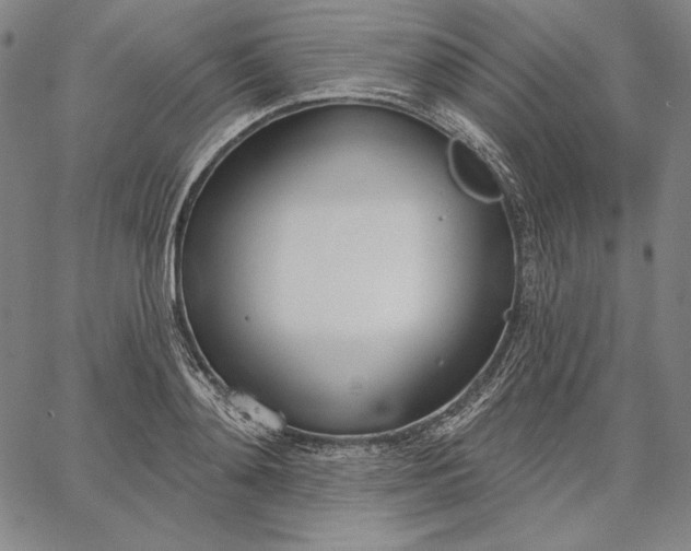 X0000067330892200604131658