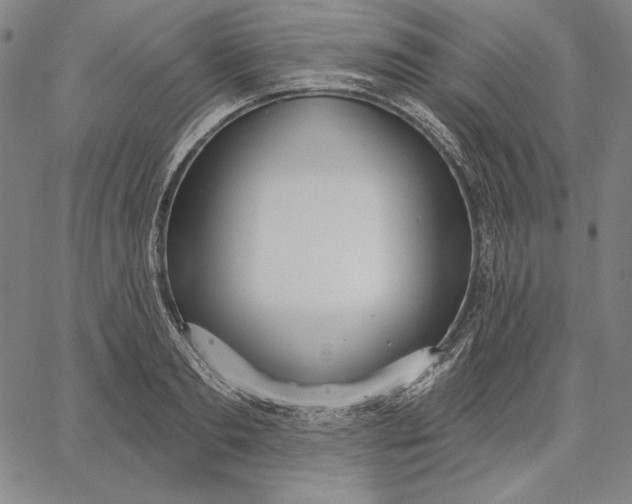 X0000067330893200604131658