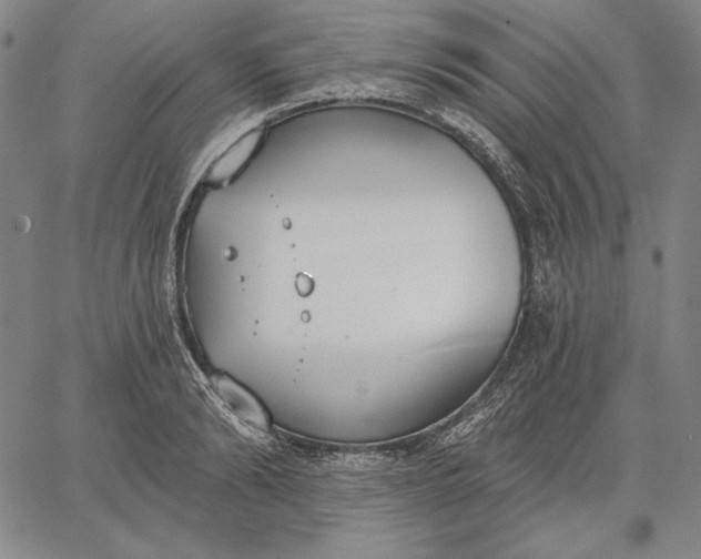 X0000067330894200604131658