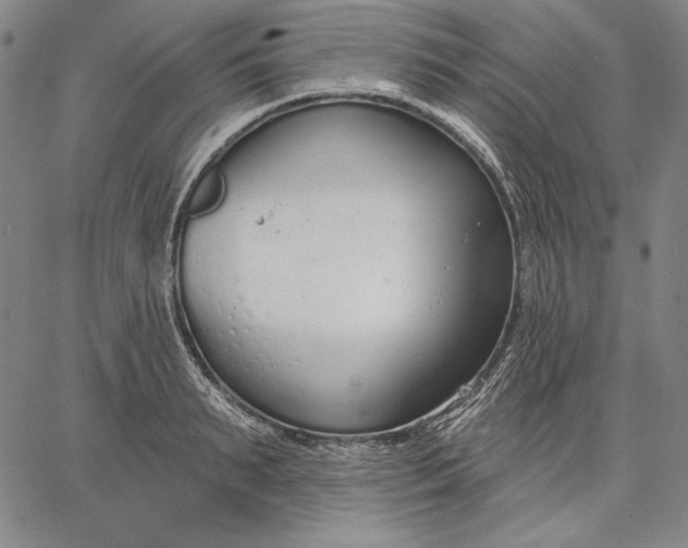 X0000067330895200604131658