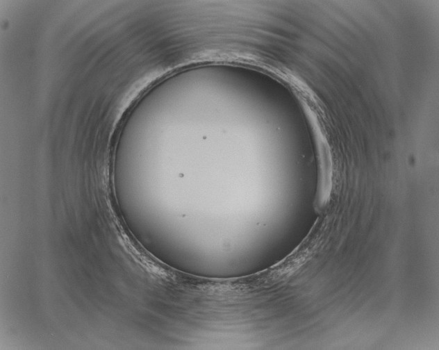 X0000067330896200604131658