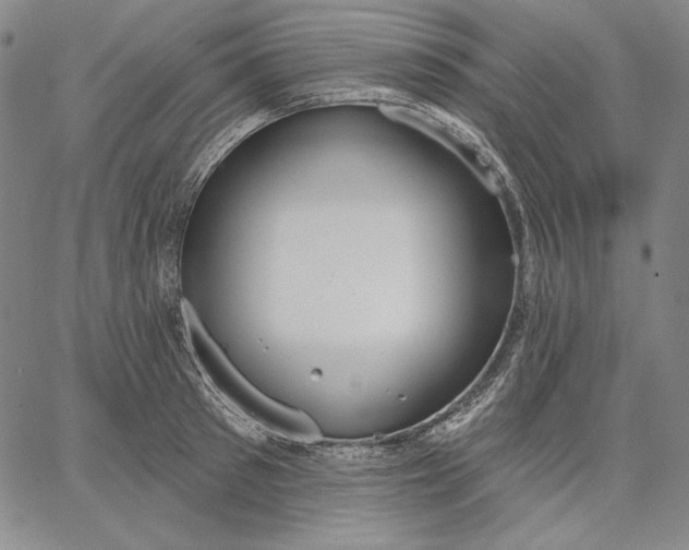 X0000067330897200604131658