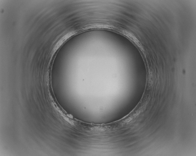 X0000067330898200604131658