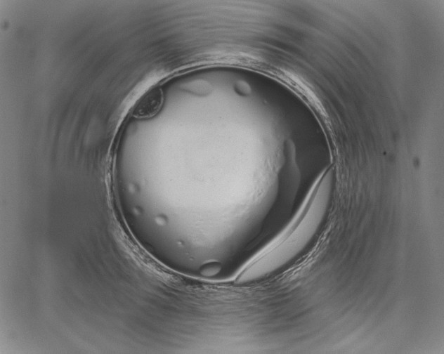 X0000067330899200604131657