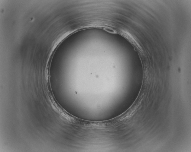 X0000067330900200604131657