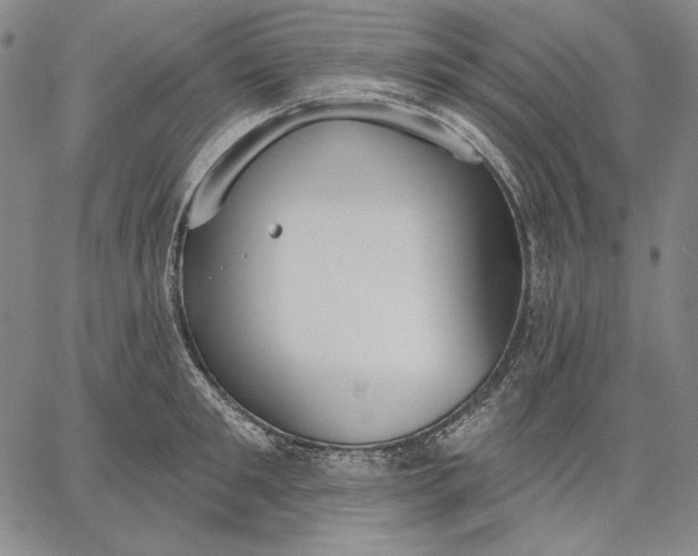 X0000067330901200604131657