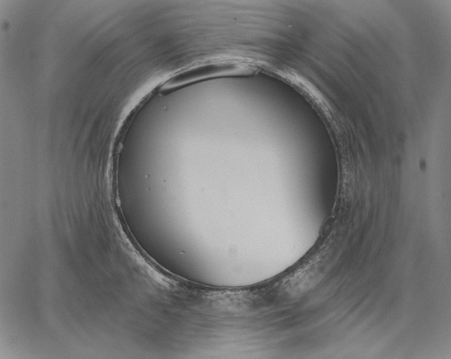 X0000067330902200604131657