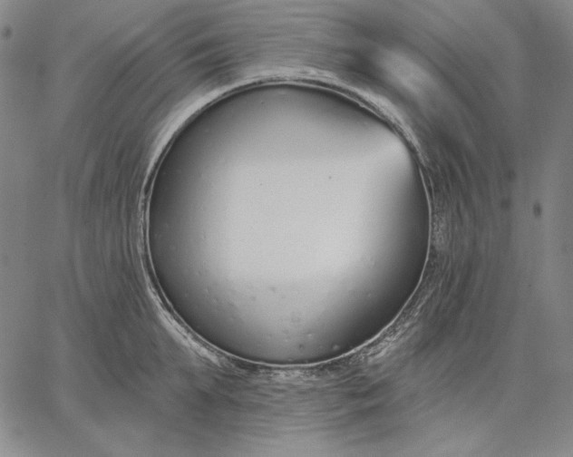 X0000067330903200604131657