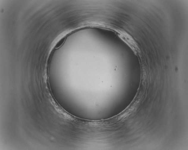 X0000067330904200604131657