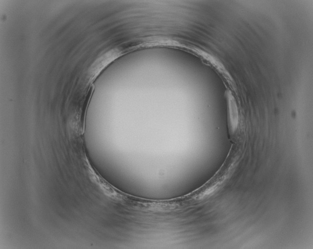 X0000067330905200604131657