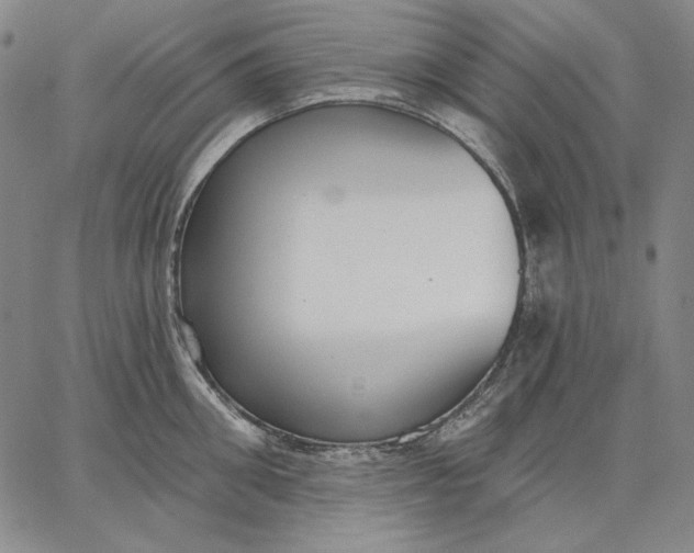 X0000067330906200604131657