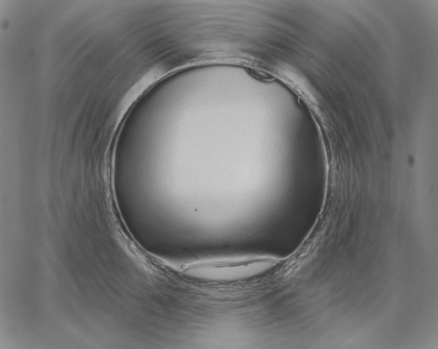 X0000067330907200604131657