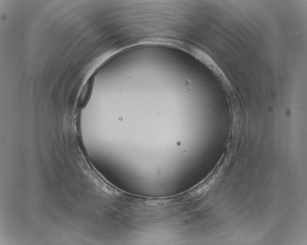 X0000067330908200604131657