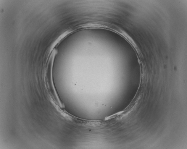 X0000067330909200604131657