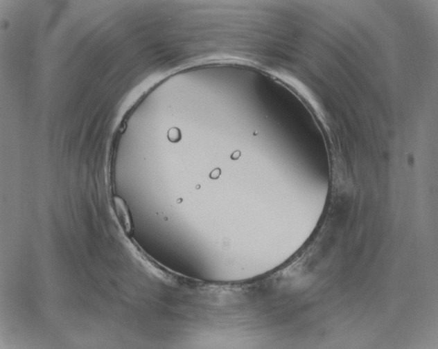 X0000067330910200604131657