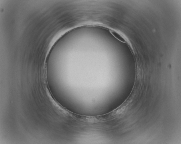 X0000067330911200604131657