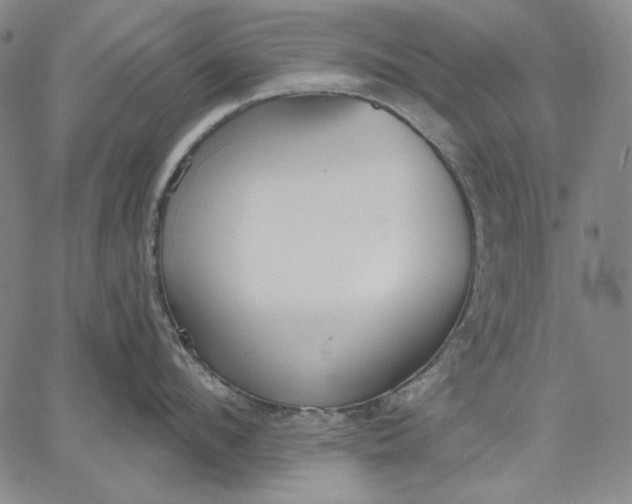 X0000067330912200604131657