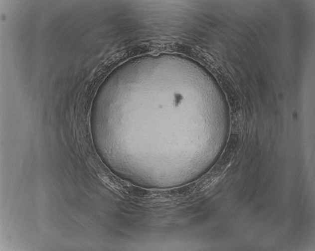 X0000067330913200604131657