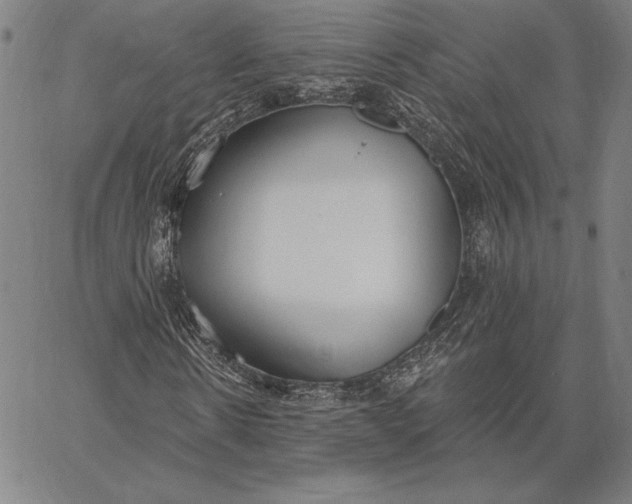 X0000067330914200604131657