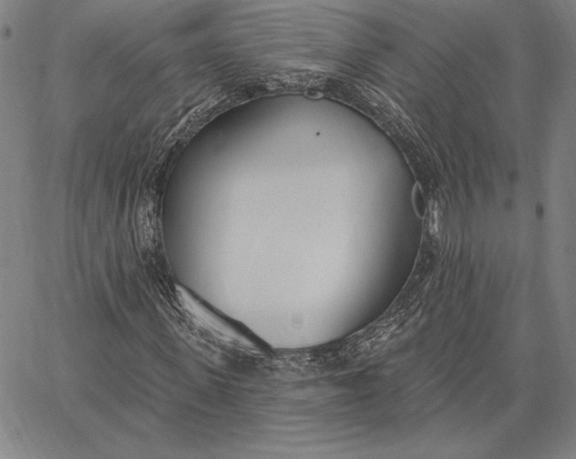 X0000067330915200604131657