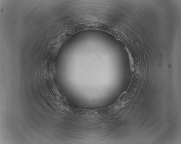 X0000067330916200604131657