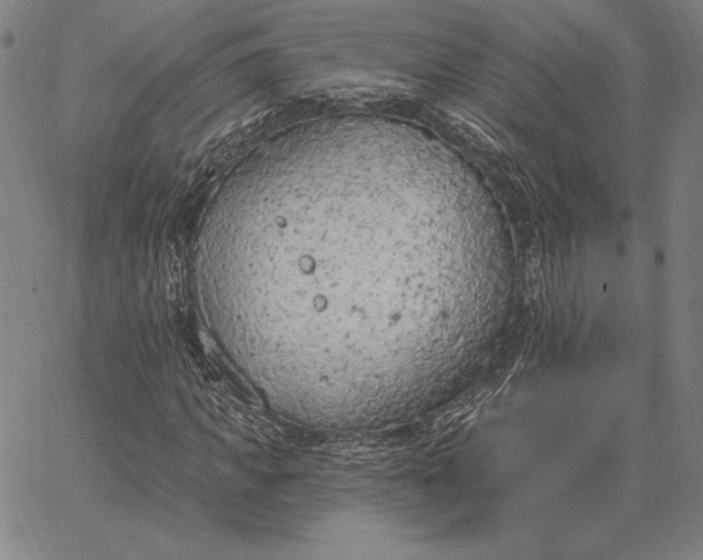 X0000067330917200604131657