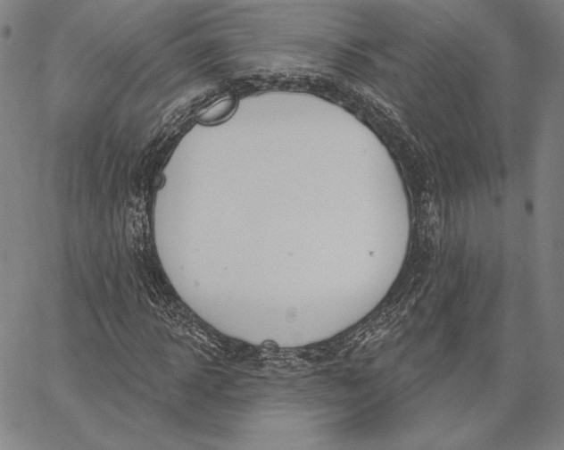 X0000067330918200604131657