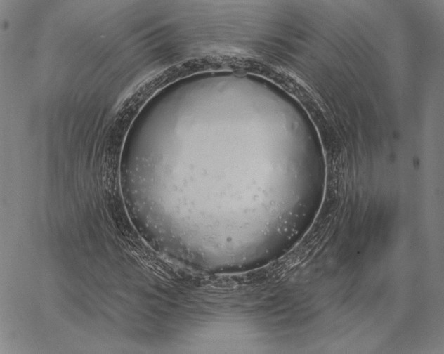 X0000067330919200604131657