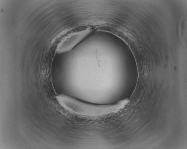 X0000067330920200604131657