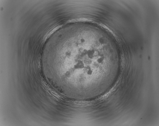 X0000067330921200604131657