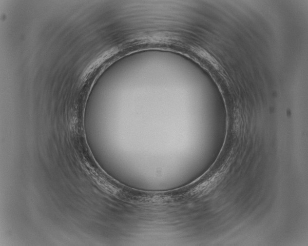 X0000067330922200604131657